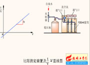 010-������������