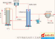 021-���������򻯴�