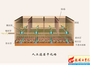 074-�˹��V�Ӹɻ���